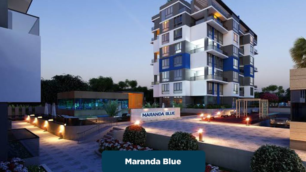 maranda blue